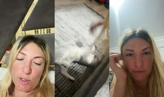 melek77777772's Stream - Jul 19, 2026, 11:59 PM