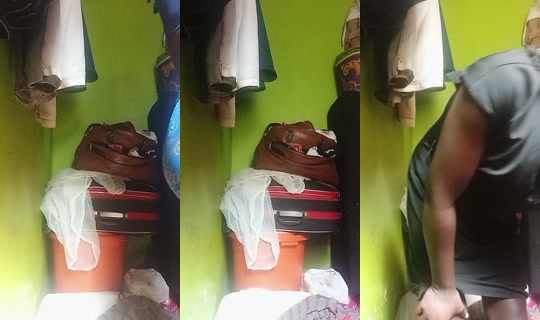 miss.love.foreverrose's Stream - Aug 11, 2026, 7:56 AM