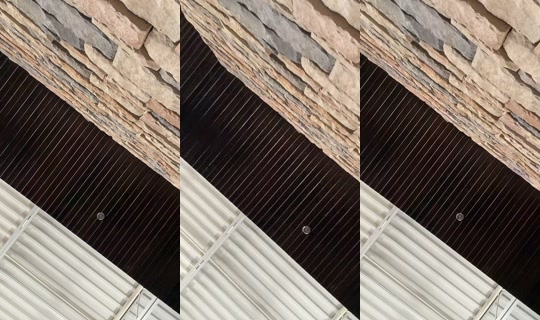 missg956's Stream - Aug 23, 2026, 10:13 PM