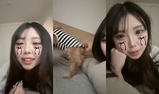 nyan.san2's Stream - Aug 19, 2026, 9:04 AM