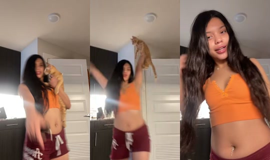 p1ckleswithmilk's Stream - Jul 21, 2026, 11:35 PM