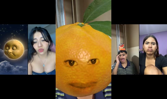 persihn_'s Stream - Aug 25, 2026, 12:30 AM