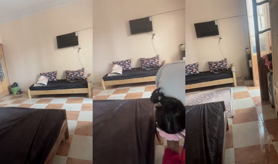 racha.farah45's Stream - Aug 2, 2026, 11:23 AM
