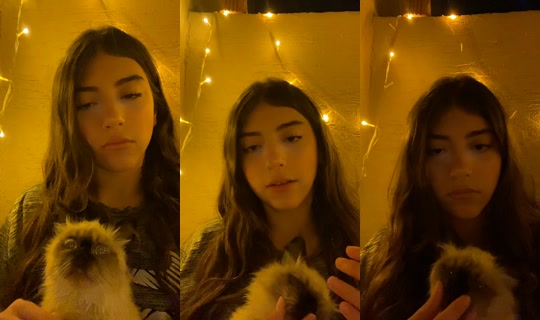 sara.elnggar6's Stream - Jul 16, 2026, 11:24 PM