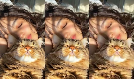 saraahyinefam's Stream - Jul 20, 2026, 11:20 PM
