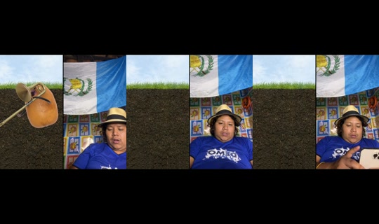 sofy07h's Stream - Aug 19, 2026, 6:14 AM