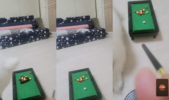 user5265993356381 تم التسجيل في 24 أغسطس 2026، 12:57 ص