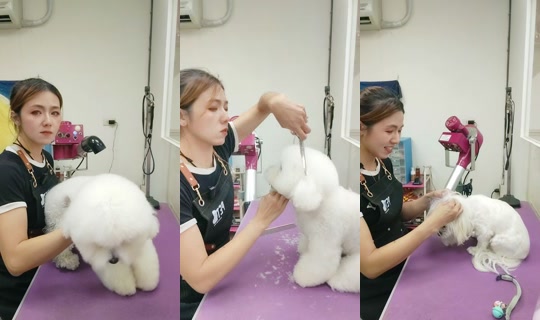 vickymichen's Stream - Aug 24, 2026, 8:05 AM