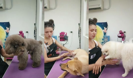 vickymichen's Stream - Aug 25, 2026, 9:01 AM