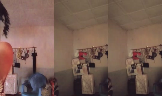 vyola399's Stream - Aug 25, 2026, 3:03 PM