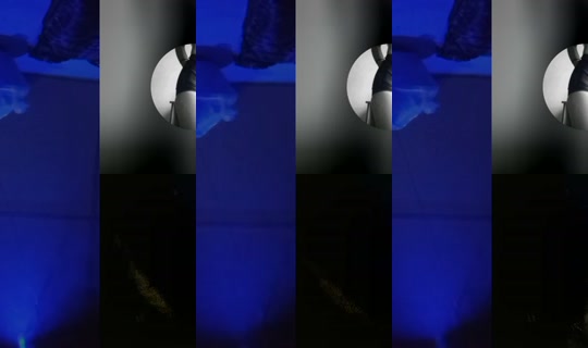 zamegold's Stream - Jul 21, 2026, 4:51 AM