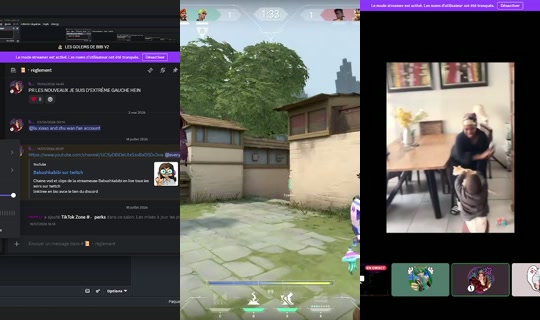 babushkabibi's Stream - Aug 22, 2026, 9:20 PM