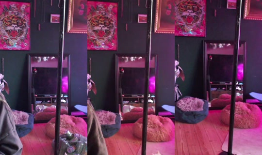 catgirl_kiko's Stream - Jul 20, 2026, 6:06 PM