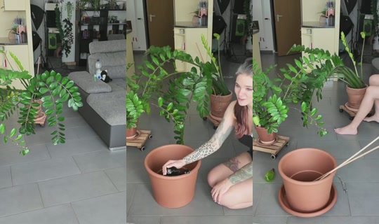 freyja's Stream - Aug 23, 2026, 1:06 PM