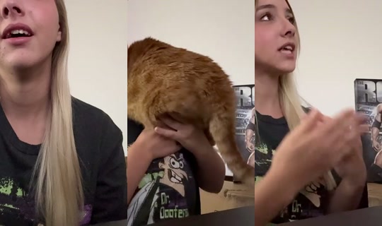 idek_keira's Stream - Jul 31, 2026, 12:16 PM
