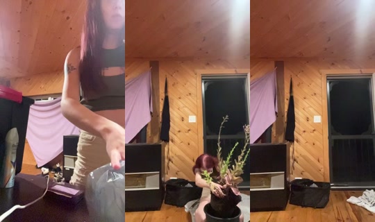 izzy_373's Stream - Jul 18, 2026, 2:08 AM