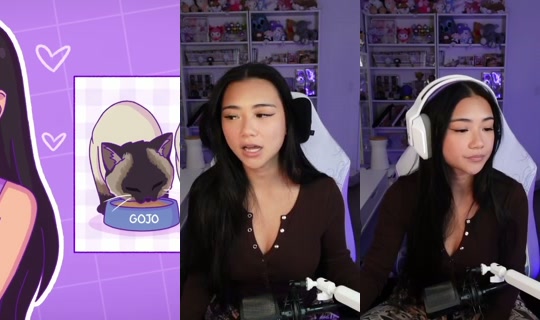 joyymei's Stream - Aug 24, 2026, 9:39 PM