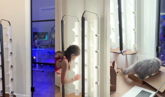 mira_irl's Stream - Aug 24, 2026, 6:14 PM