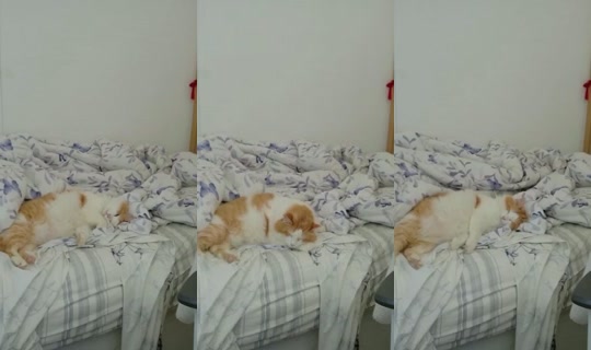notlisanna's Stream - Aug 23, 2026, 12:24 PM