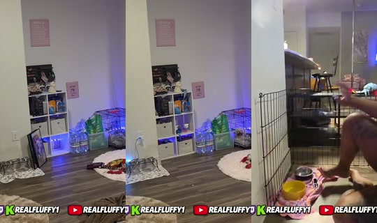 realfluffy1's Stream - Aug 24, 2026, 1:35 AM
