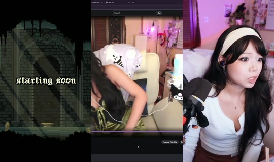 wasabiicat's Stream - Aug 24, 2026, 12:13 AM