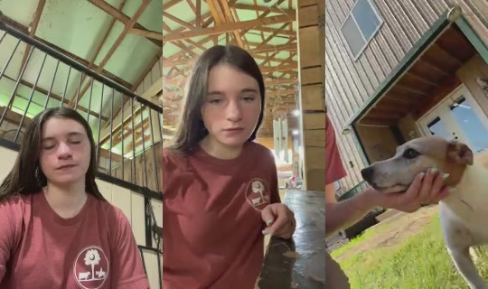 Chloey_harris's Stream - Aug 26, 2026, 2:36 PM