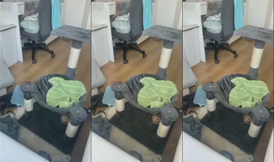 Lia_alexandra Recorded on Aug 15, 2026, 7:22 AM