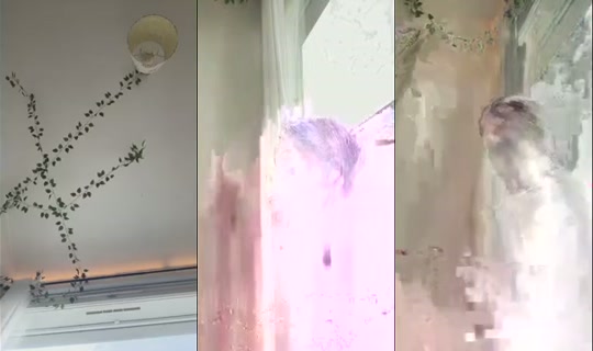 Lia_alexandra's Stream - Aug 18, 2026, 1:51 PM
