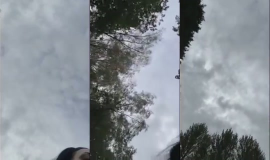 Madi_65997's Stream - Aug 20, 2026, 8:30 AM