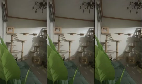 Mae1427 Recorded on Aug 15, 2026, 10:32 AM