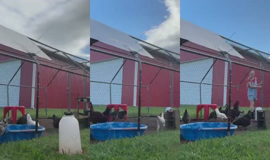 dagreatkate's Stream - Aug 23, 2026, 12:52 PM
