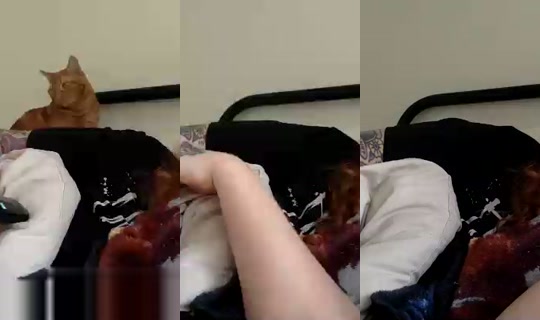 davidbeccums's Stream - Jul 19, 2026, 10:35 PM