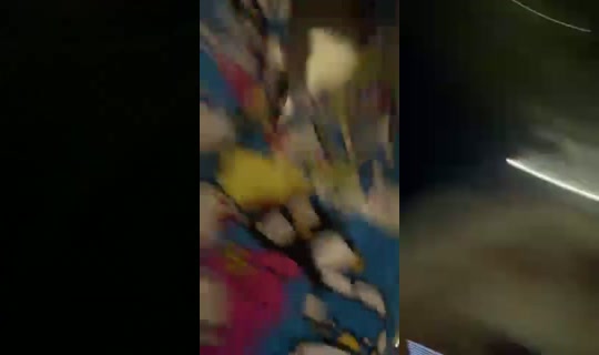 lexbby's Stream - Jul 20, 2026, 3:22 AM