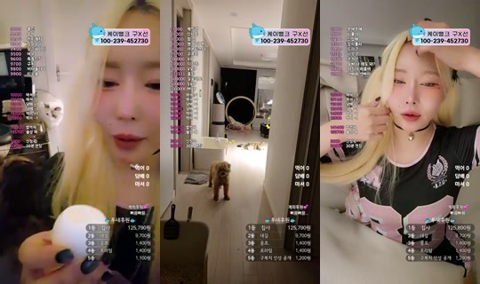 9복치's Stream - Jul 16, 2026, 1:25 PM