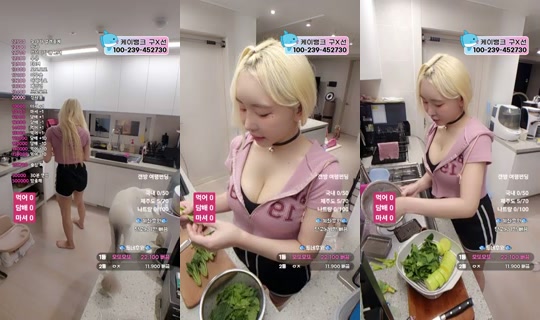 9복치's Stream - Aug 24, 2026, 12:48 PM