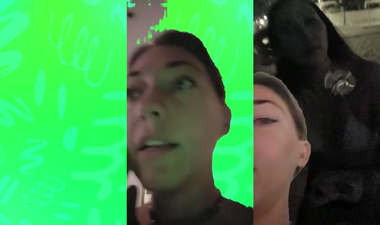 Phoenixshitshow's Stream - Jul 20, 2026, 2:17 PM