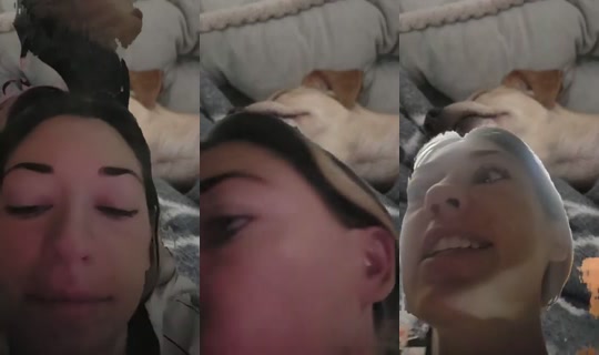 Phoenixshitshow's Stream - Aug 13, 2026, 10:44 AM