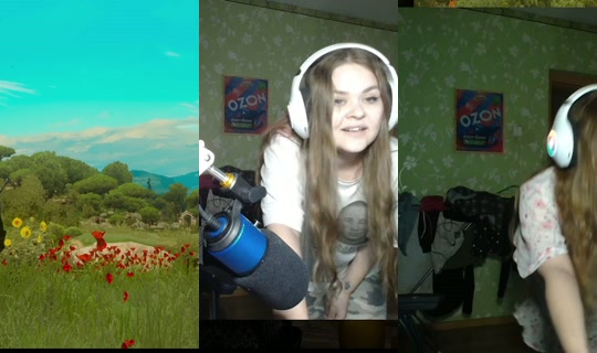 sieg_heinz's Stream - Aug 21, 2026, 5:07 PM