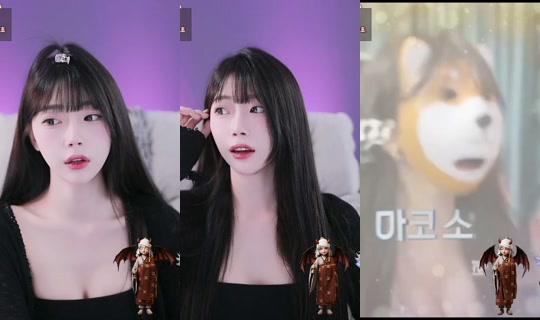 Live de baek224983 - 4 de jun. de 2026, 6:59