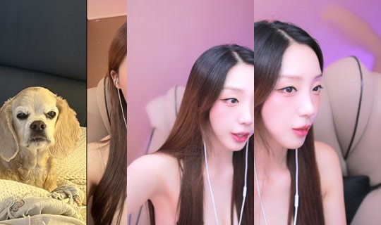 dlsgk1763's Stream - Jun 1, 2026, 6:01 PM
