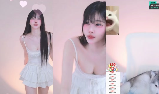 elixxir's Stream - Apr 16, 2026, 5:52 AM