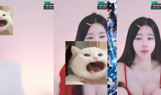 elixxir's Stream - Apr 16, 2026, 3:46 PM