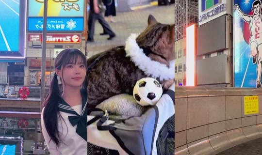 ghd0530's Stream - Jun 16, 2026, 2:30 PM