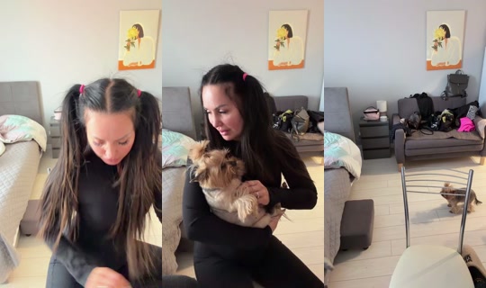 1062910675's Stream - Apr 22, 2026, 2:10 PM