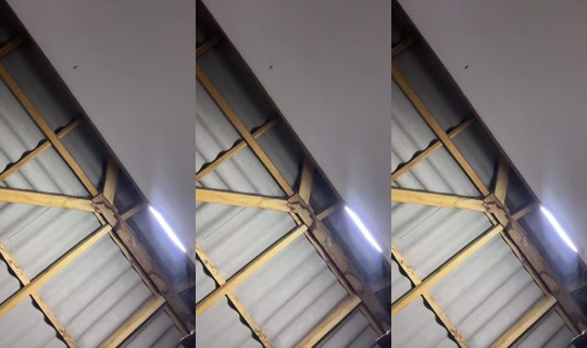 1088667391's Stream - Jun 15, 2026, 4:46 AM
