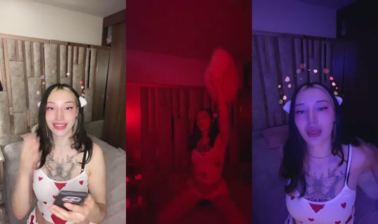 Transmisión de miawprrmiaw - 21 abr 2026, 12:03