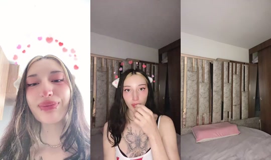 Transmisión de miawprrmiaw - 21 abr 2026, 14:35