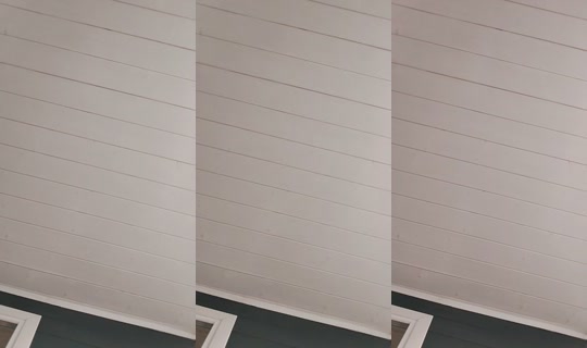 بث 18906053 - 6 مايو 2026، 4:55 م