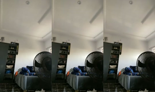 Live de 19626816 - 21 de abr. de 2026, 6:20