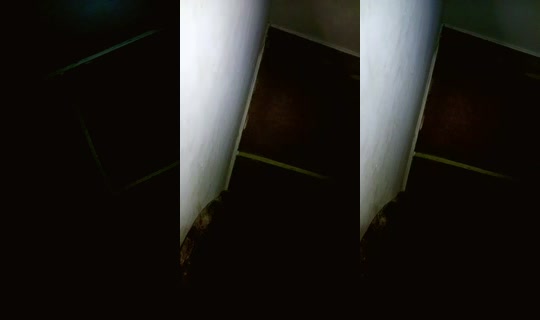 بث 23190550 - 19 أبريل 2026، 11:27 م